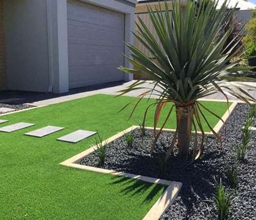 Palm surrounded by block and turf